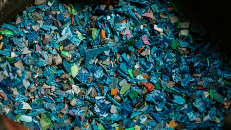 Économie circulaire : comment consommer moins en dépensant mieux